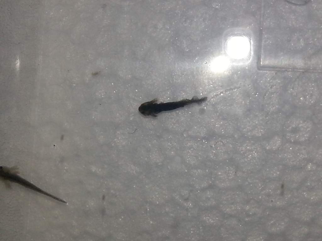 20130321 160349