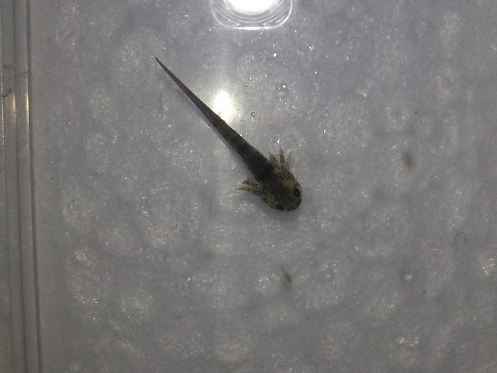 20130321 160418