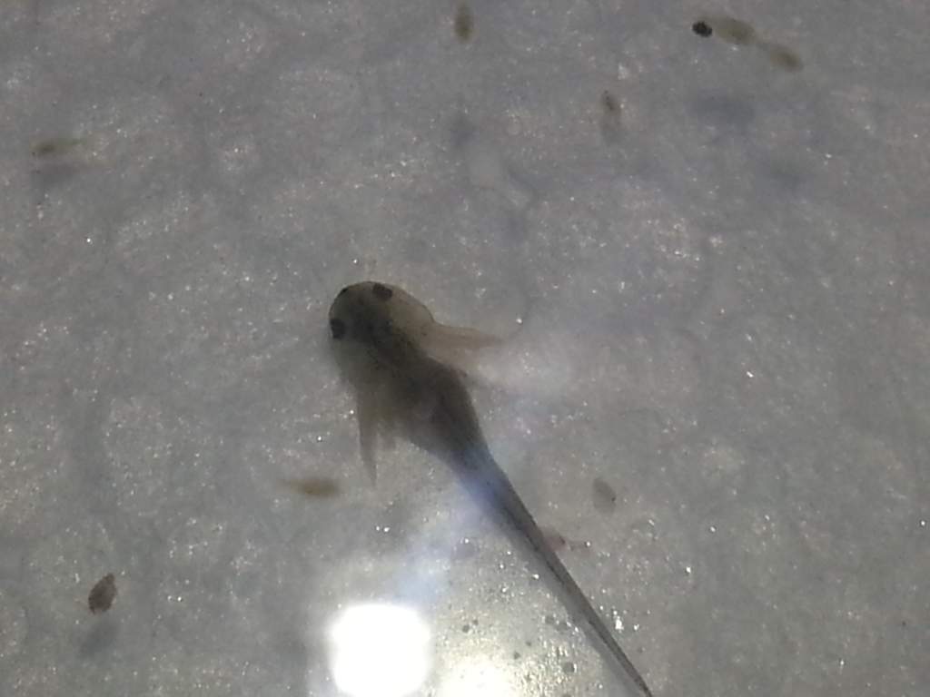 20130323 183258
