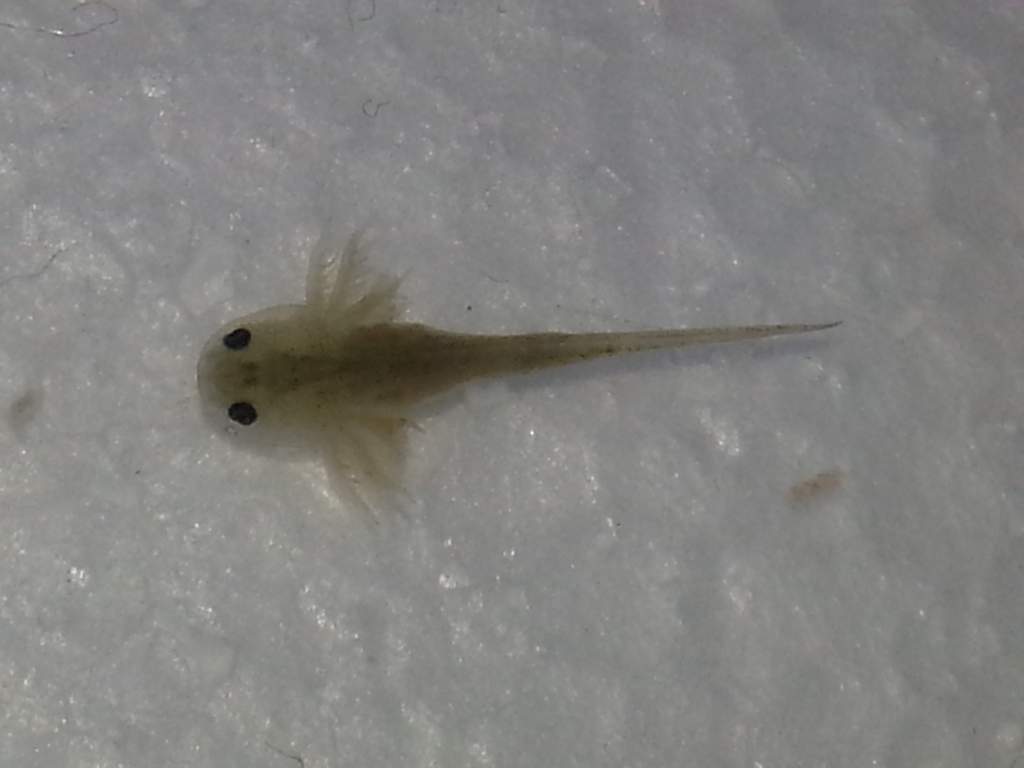 20130329 220837
