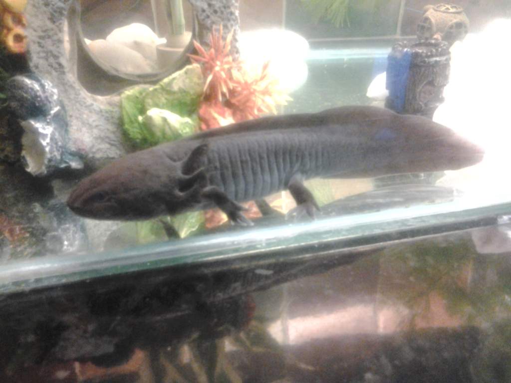 20130406 200501