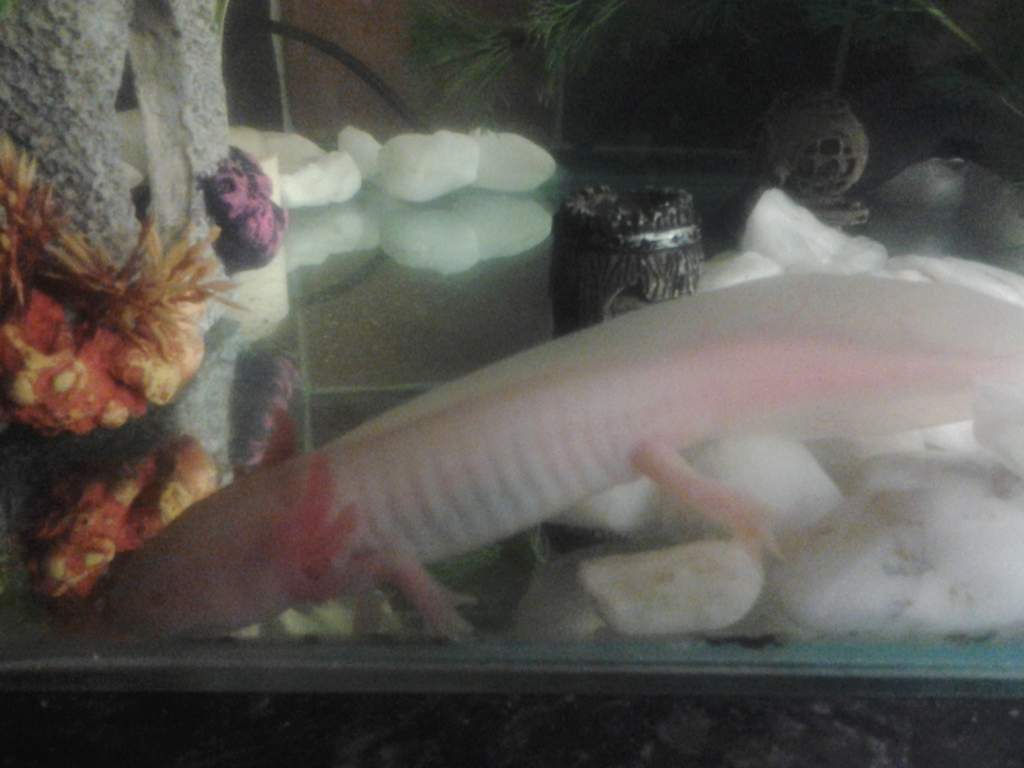 20130407 001524