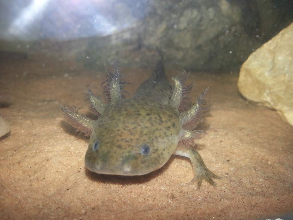 20130413 173957