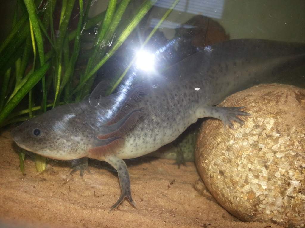 20130427 183148