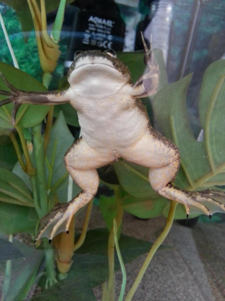 20130604 164843 zps8393b272