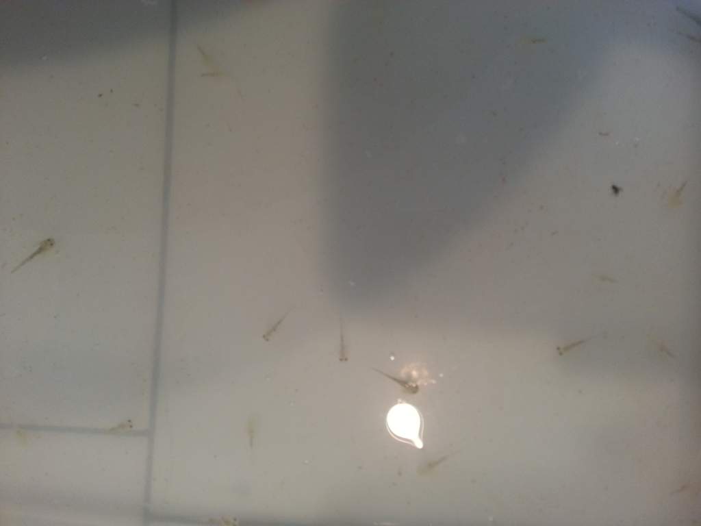20140131 153751