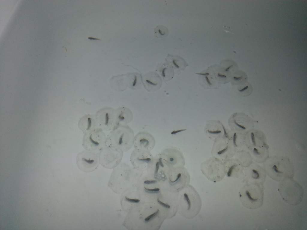 20140409 025921