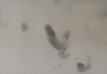 2015 04 16 19.16.21