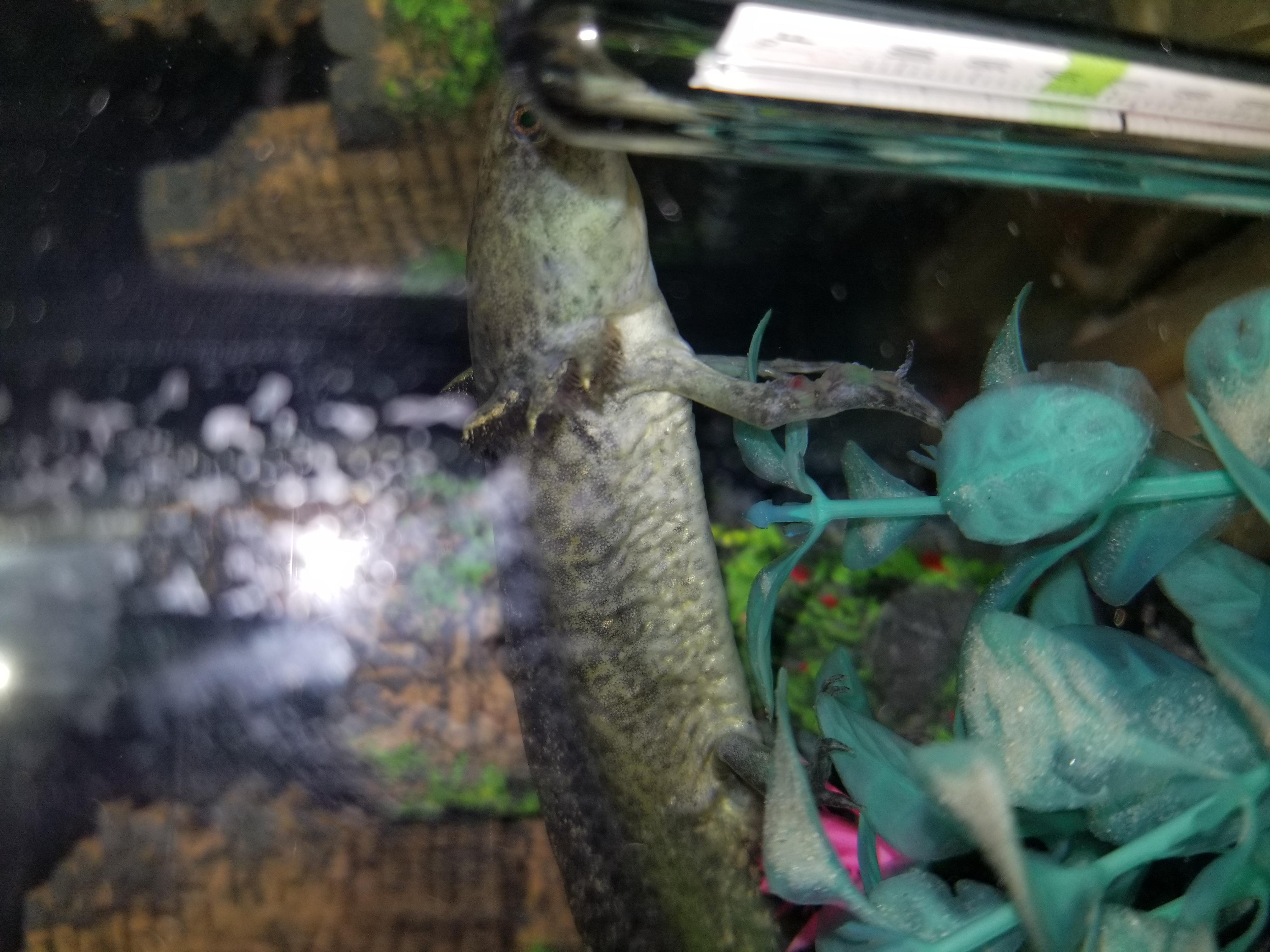 20180719 104012