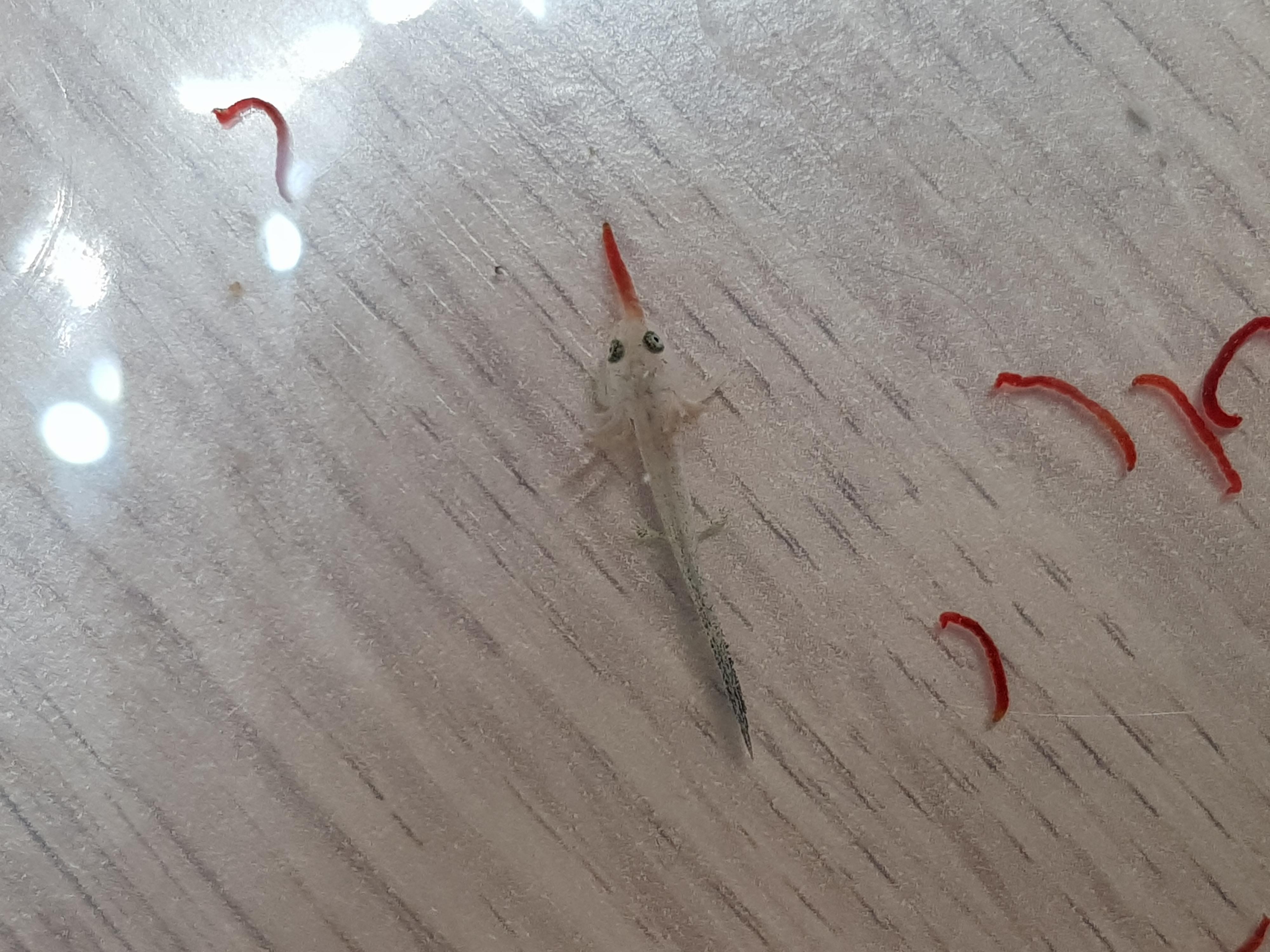 20190612 195507