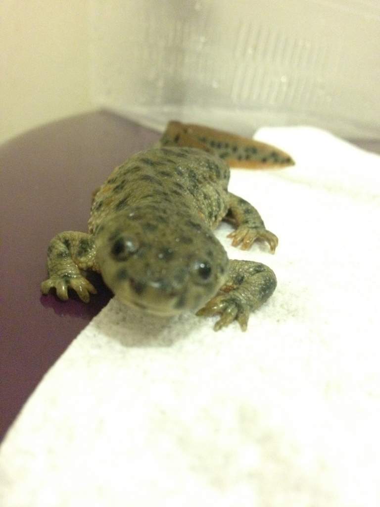 23 june '12