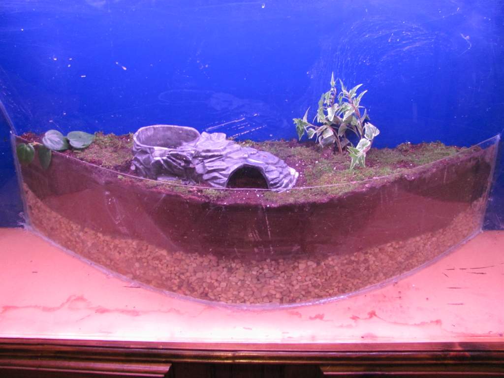 ~3.5" gravel, a layer of mesh to keep the bulk of soil out, ~4" of potting mix, then a layer of moss (it's uh... "from under the pine trees moss" ! Do