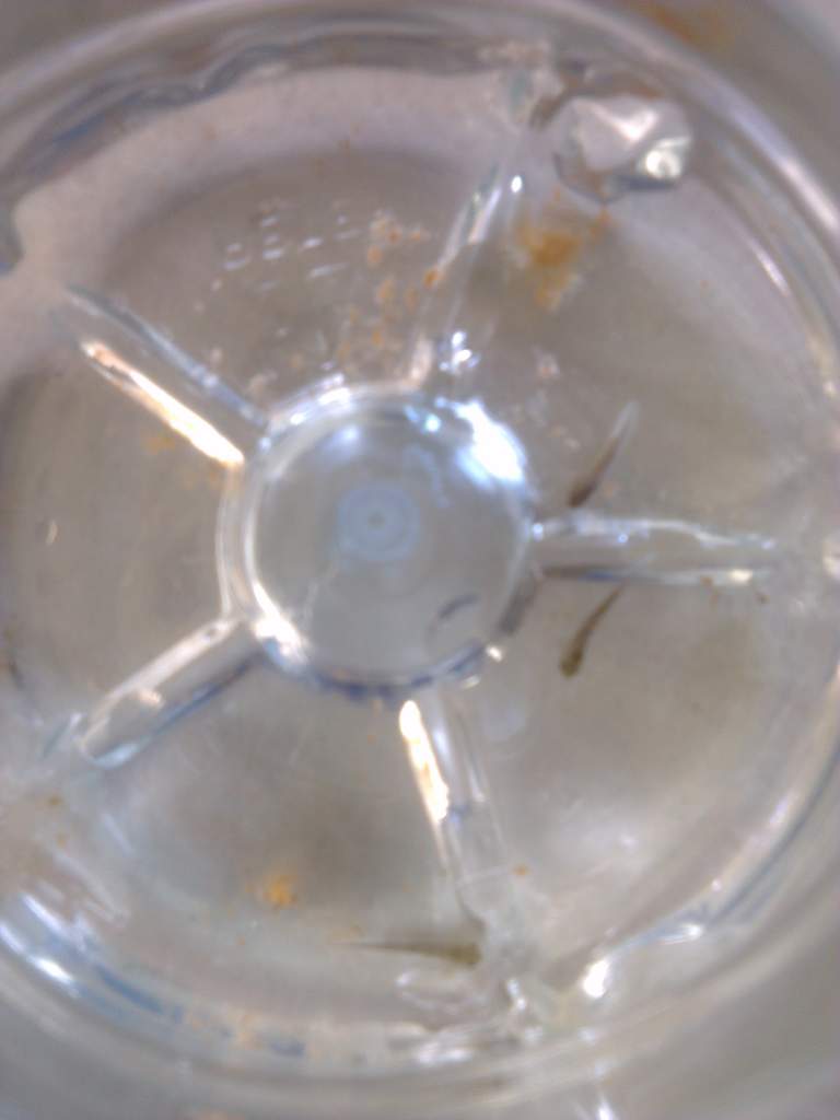 3 of my first EVER hatchlings.....I only hope I can keep them going..........