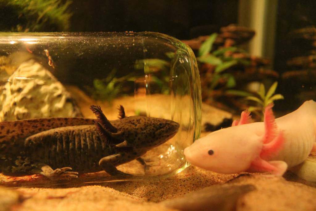 :3