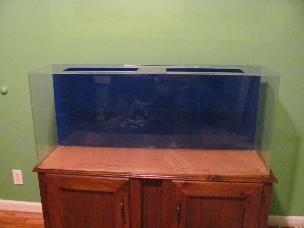 50 gallon tank sitting in my green room.