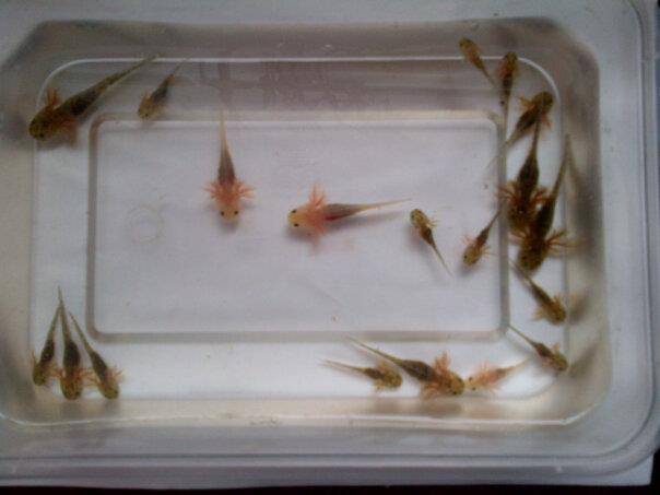 542805 4410683099921 335505874 n[1]