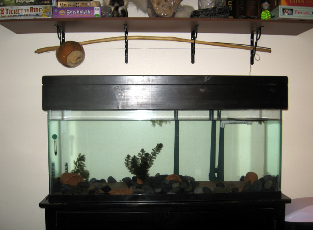 55 Gallon