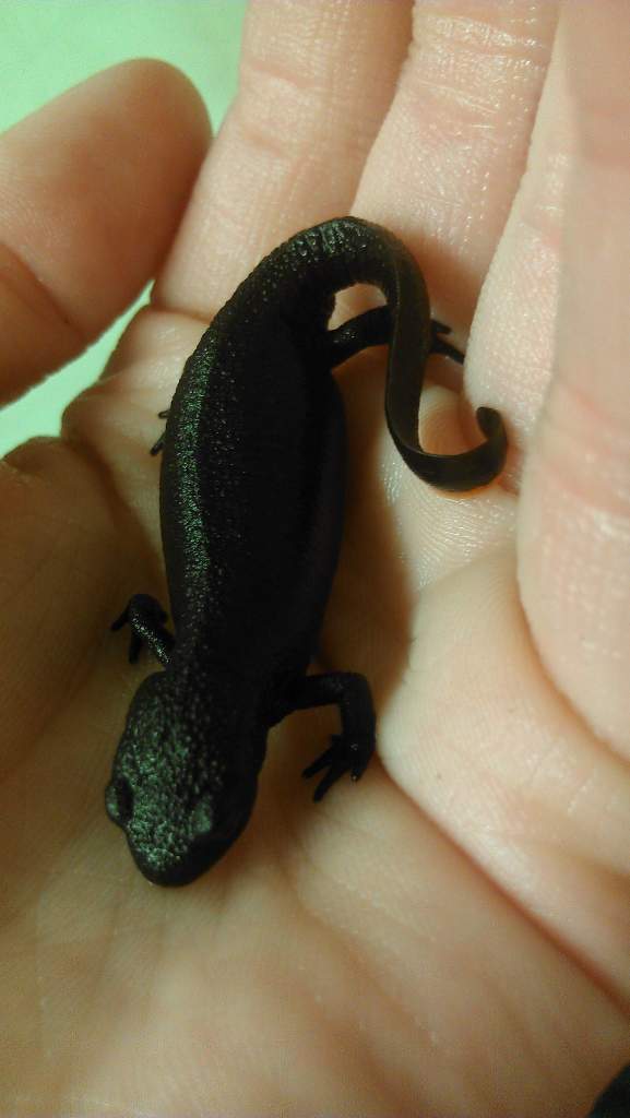 882512 10151371121870966 2068376755 o