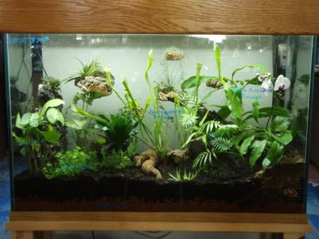 90 gallon vivarium