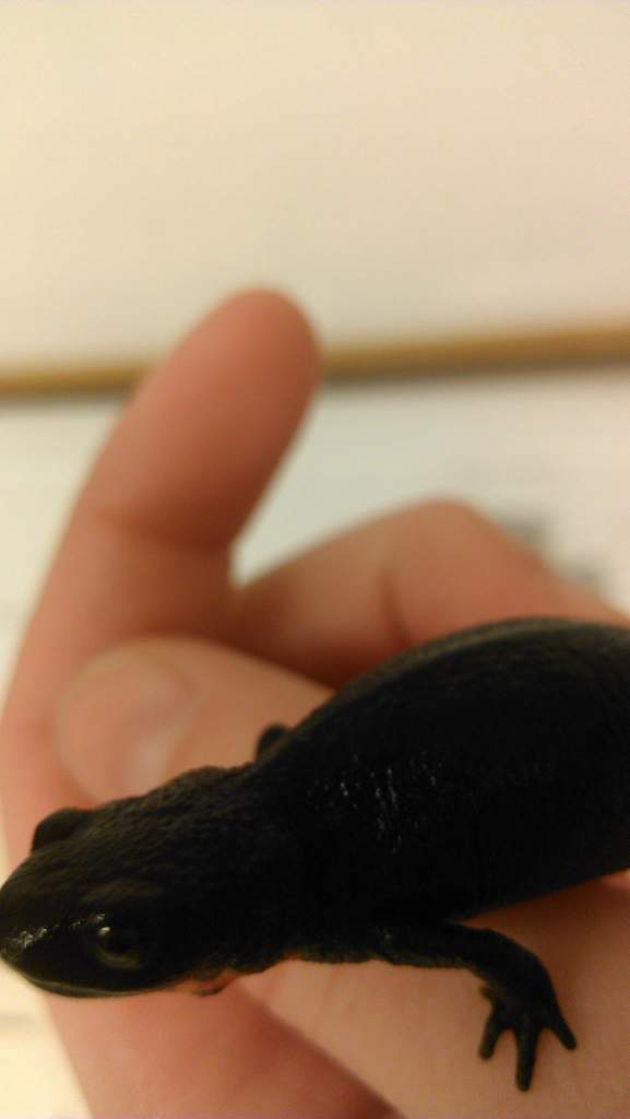 903597 10151371122250966 975202773 o