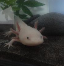 ^_^