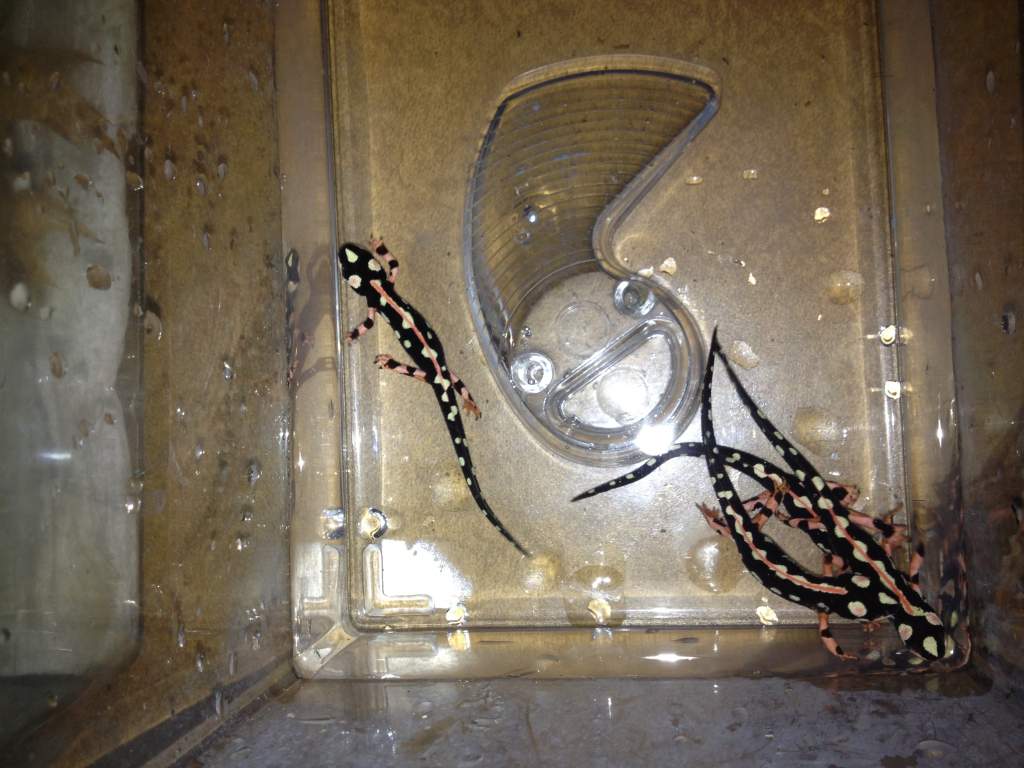 A couple of months later during a cleaning.