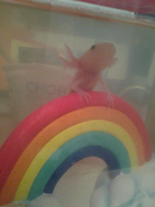 A few months old
