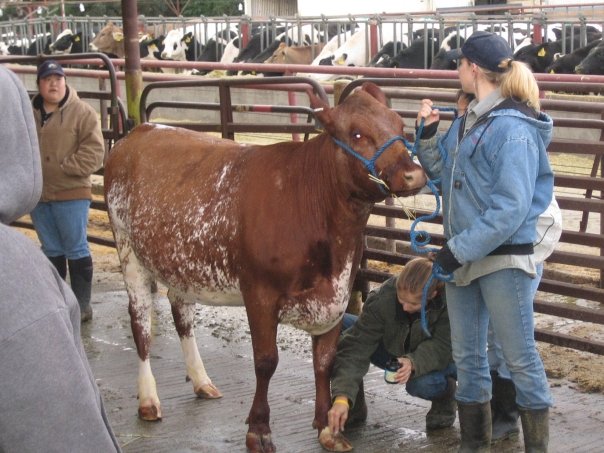 A little hoof polish never hurt anyone