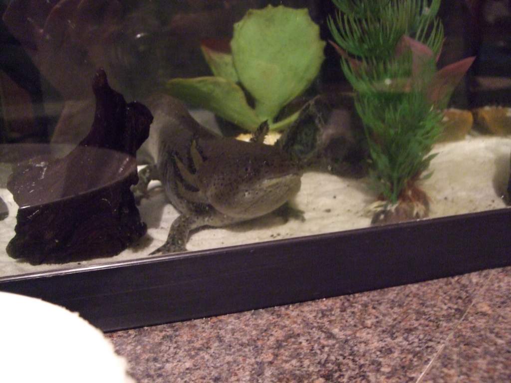 A while ago in the medium tank.