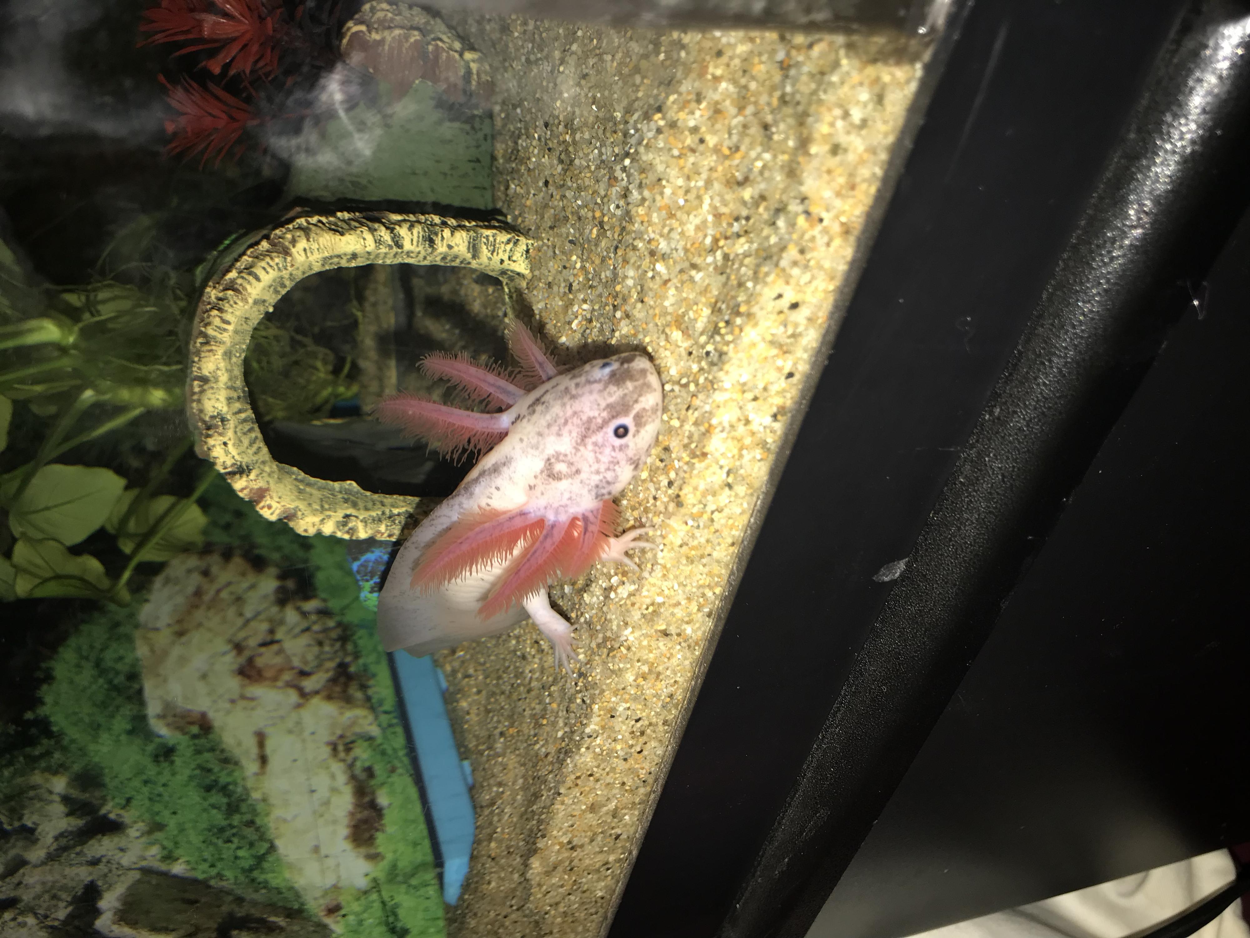 AB8DC751 4FC6 499C B567 5BF7757B1B77