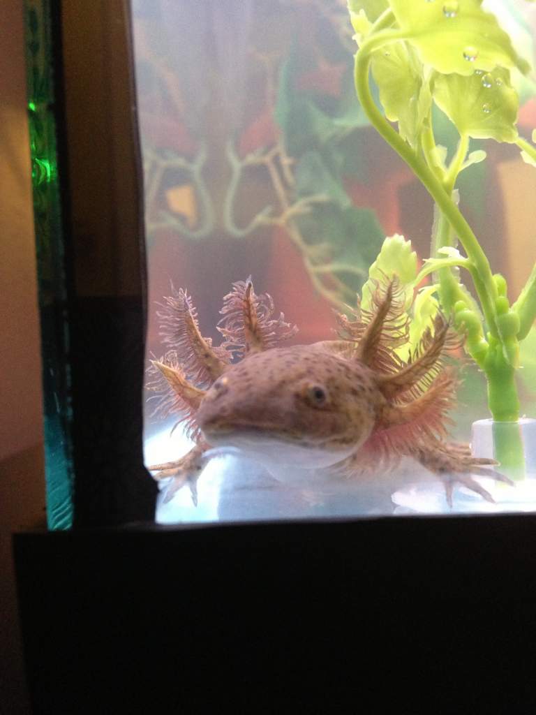 All smiles after the first worm in the new home!