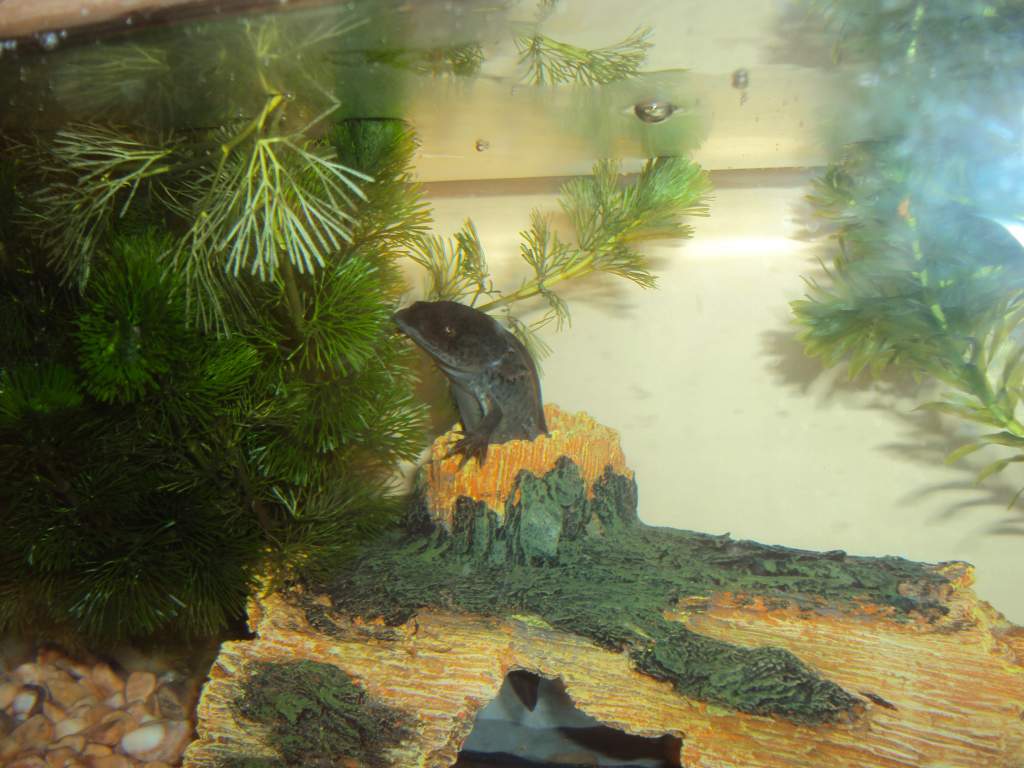 Amigo being adventurous lol