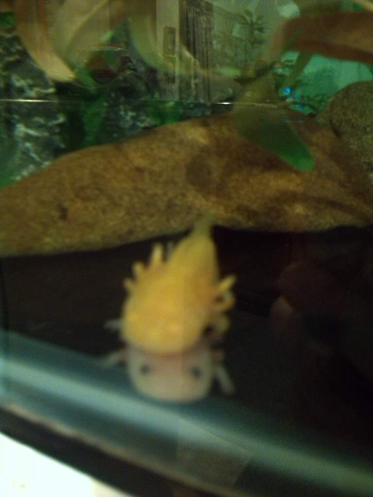 An axy pile? Hehe