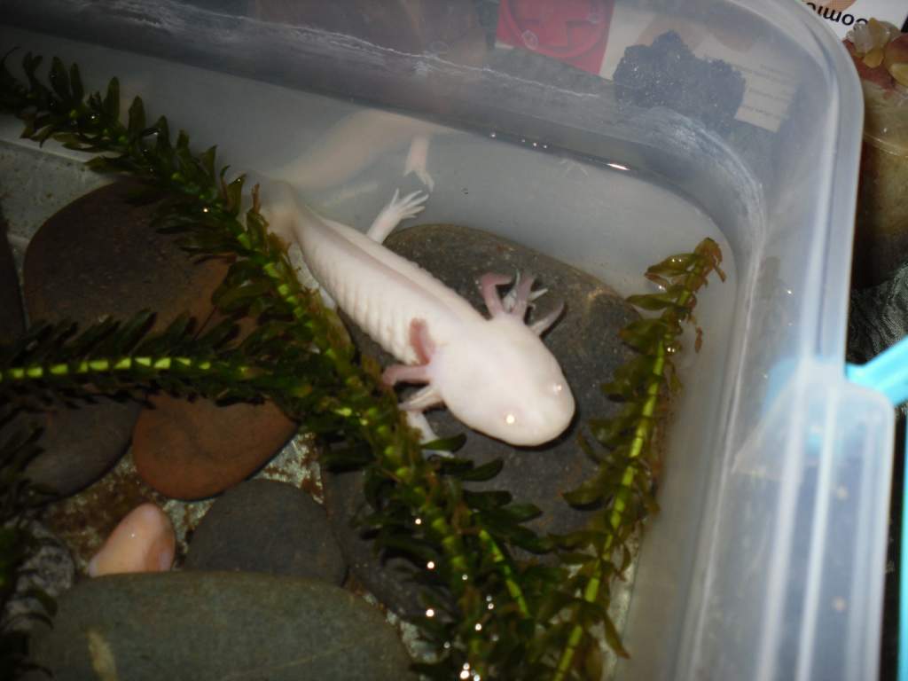 Another of MO or Missy maybe Melody?