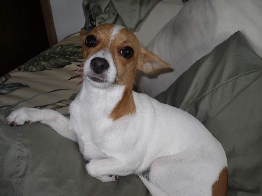 Another Roxy pic