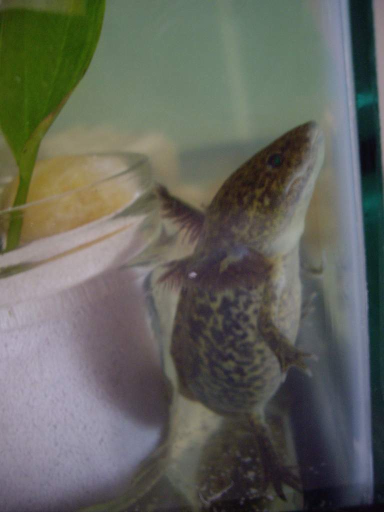 "another worm, please?"