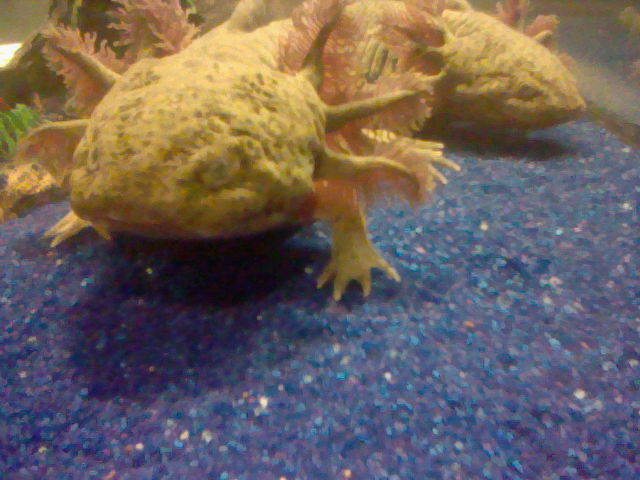 Any1 wanna kreep? :D