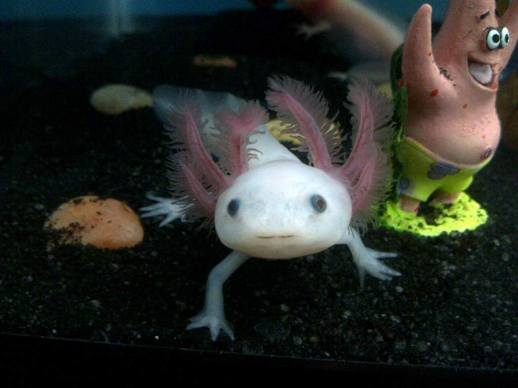 Apollo and Patrick. Yey so happy :D
