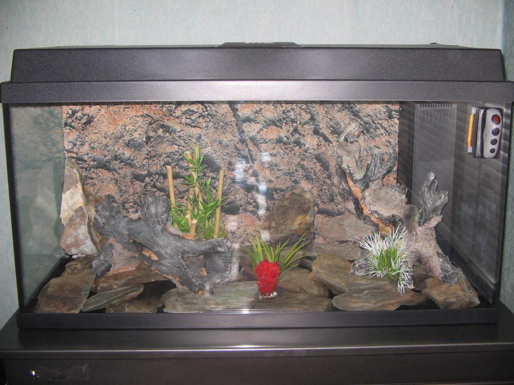 aquarium