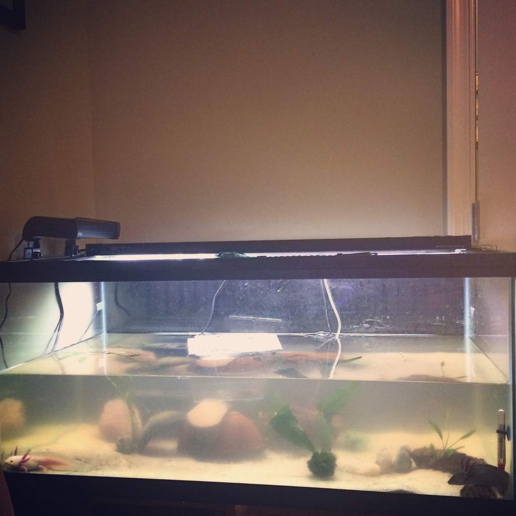 Aquarium