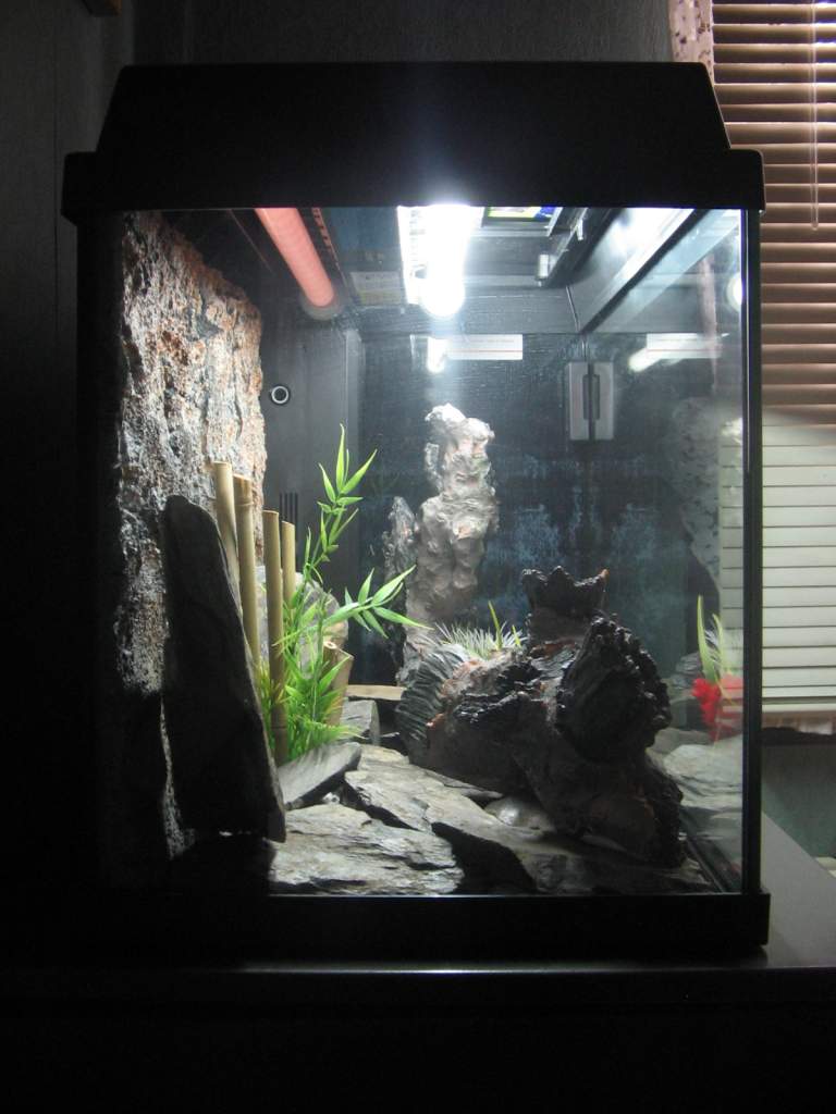 aquarium2