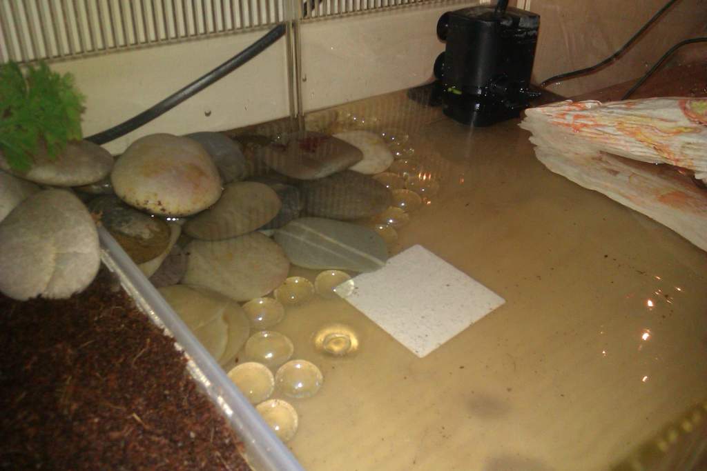 Aquatic area