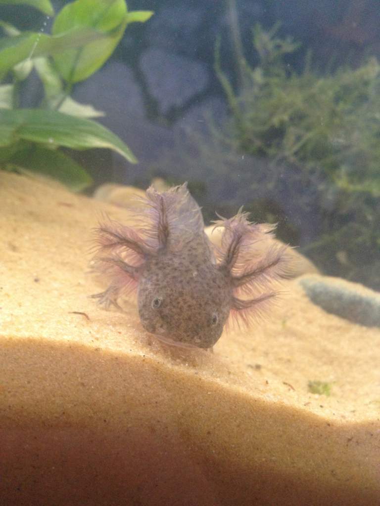 As I woke up this morning I had a friend to greet me ;D