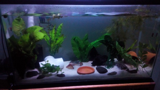 pvc pipe aquarium decoration