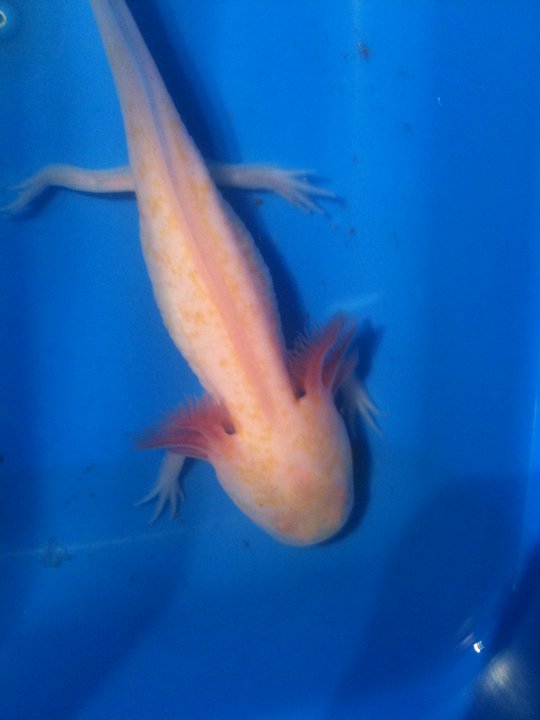 Ashba's first pic