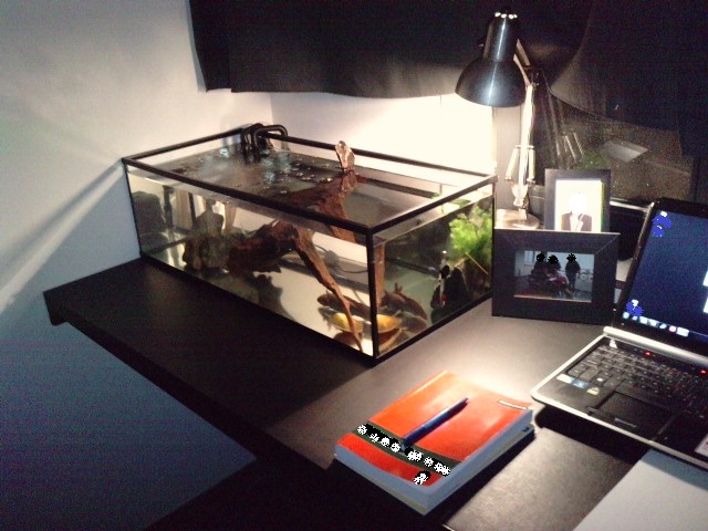 At it's new position on the desk.