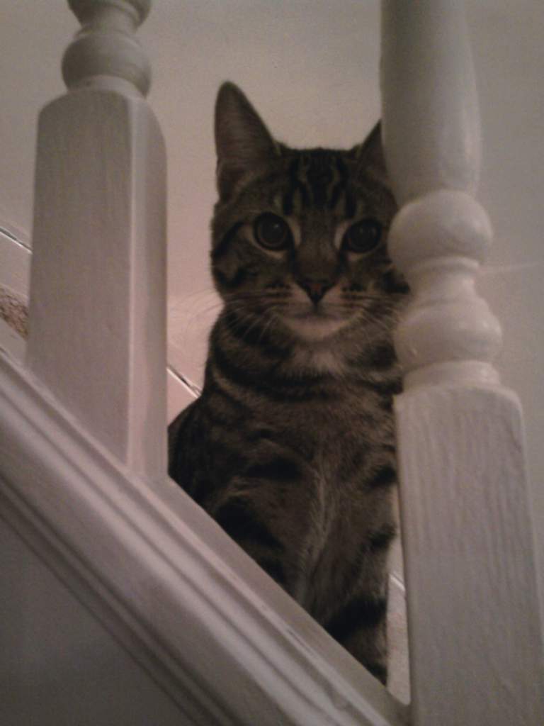 aww billy-kins!