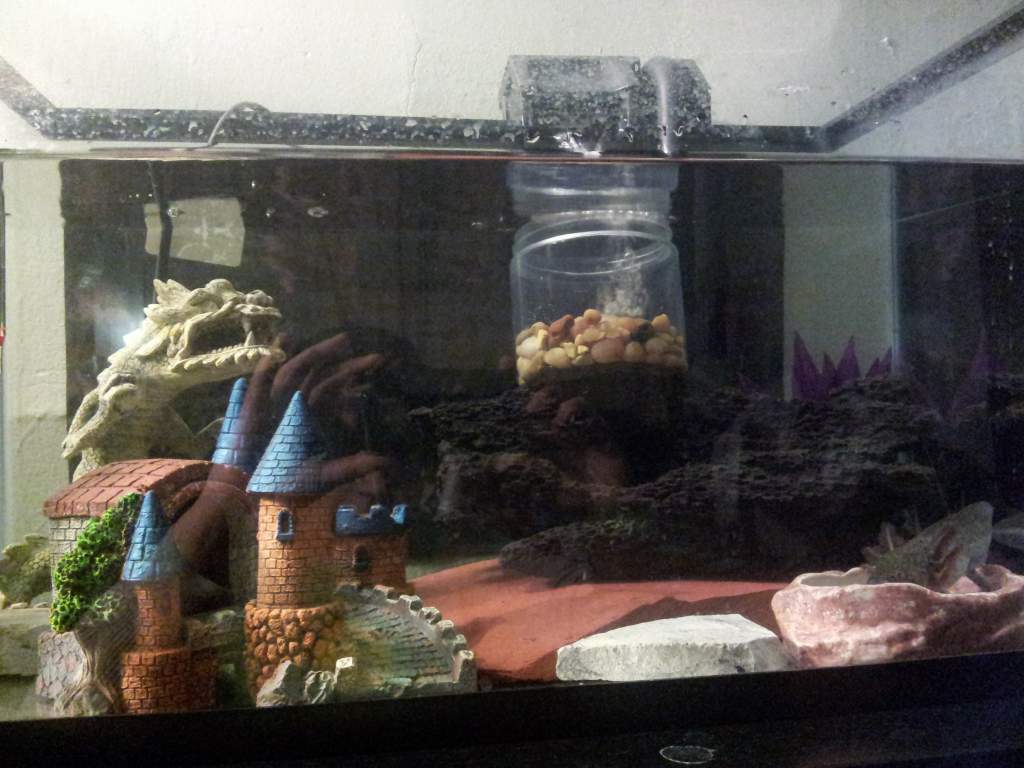 Axl's home