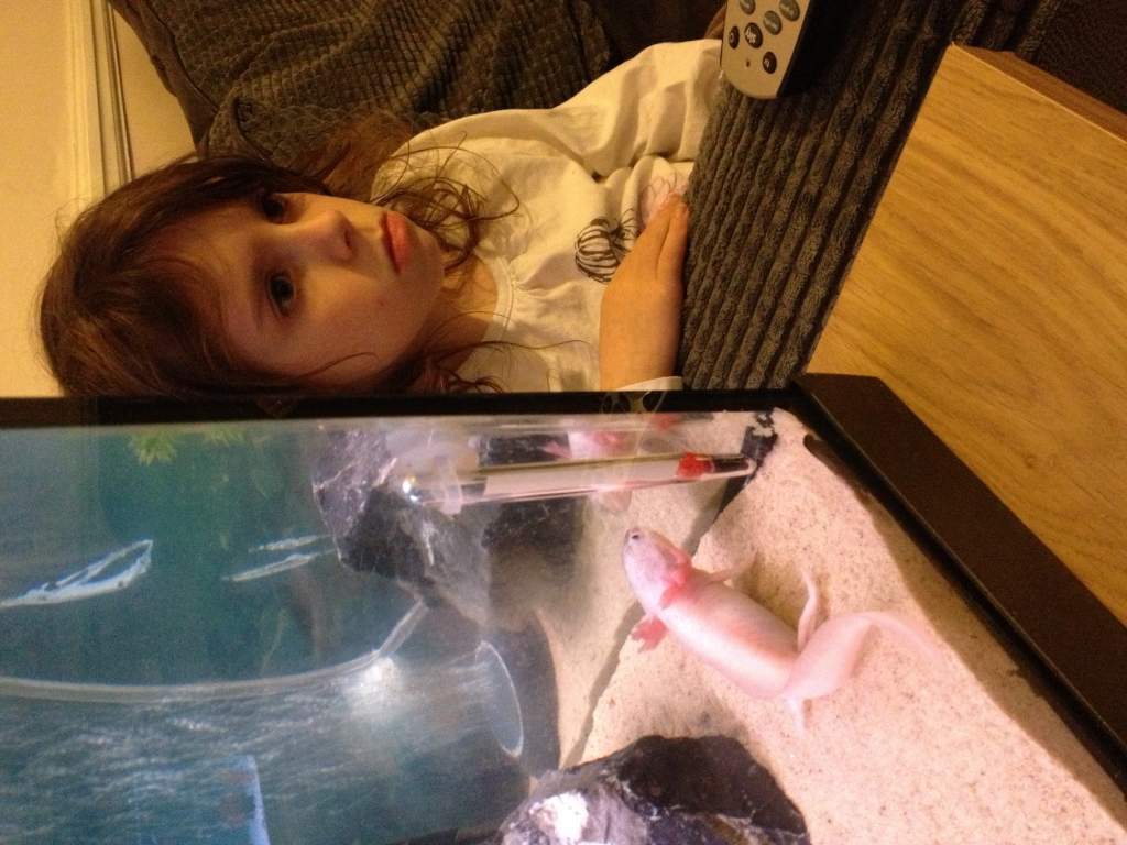 Axol waiting to be fed saying please feed me lol