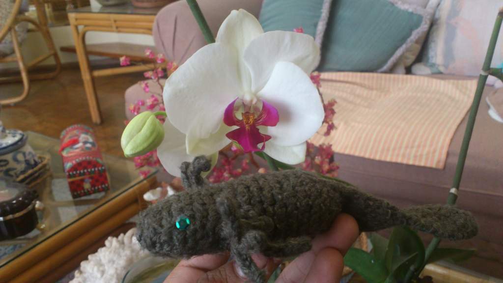 axolotl and orchid